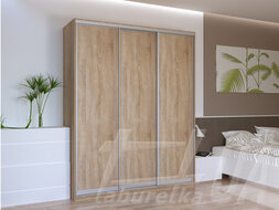 Шкаф купе "Сити Лайт" 180х225х60 см 3-дверный