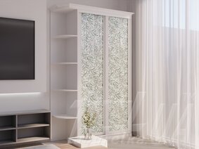 Шкаф купе "Рим-Венециано" 1100 мм 2-дверный серия WT
