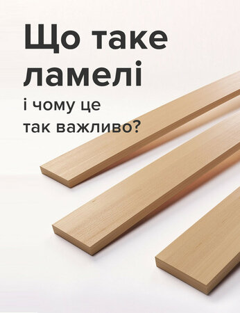 Що таке ламелі і чому це так важливо?