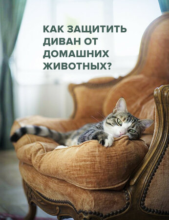 Как защитить диван от домашних животных?