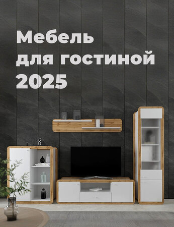 Мебель для гостиной 2025