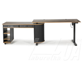 Регульований стіл "StandUp Loft BSTLс-01"