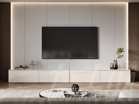 Секция "Leg's Box TV 2,1"