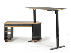 Регульований стіл "StandUp Loft BSTLс-01"