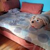 Диван "Фокус"