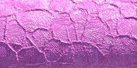 Фіолетова структура