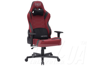 Кресло "VR Racer Expert Kintaro"